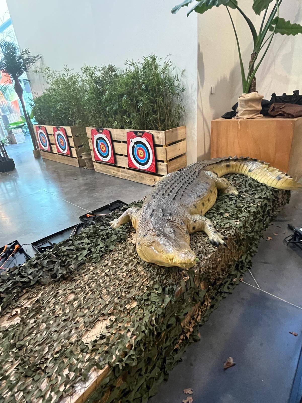 Animation et décors sur le thème de la jungle pour un client  en Normandie